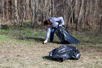 Субботник, 2014