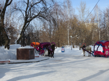 Поездка в Томск. 24-25.02.2017